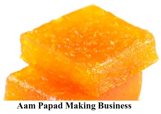 Aam Papad Making Business