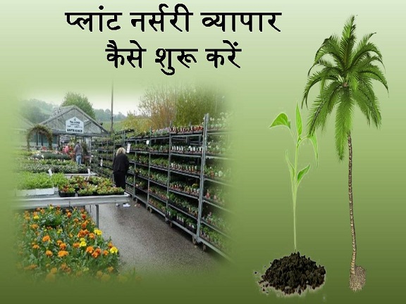 Plant Nursery Business Plan Profit Investment Startup Business Idea - Is Nursery Business Profitable In India