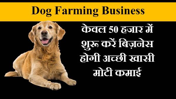 dog farming business in hindi