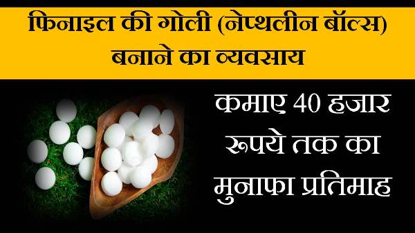 naphthalene balls making business in hindi