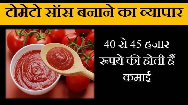 tomato sauce business in hindi